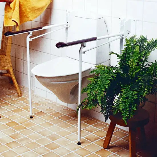 Bathroom with a toilet and grab bars, featuring a plant on a stool.